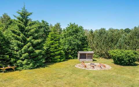Kuisma - 11Km from the Sea: Baum, Strauch, Garten, Grundstueck, Lärche, Wiese, Rasen, Landscaping, Immergrün