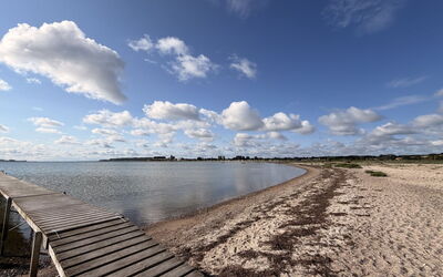 Harri - 400M from the Sea