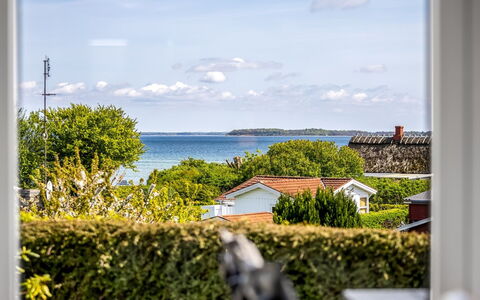 Egonie - 100M from the Sea: Estate, Schatten, Auffahrt, Bauernhaus