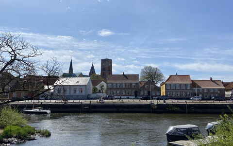 Constance - 23Km from the Sea: Holz, Dach, Zuhause, Haus, Die Architektur, Abstellgleis, Grundstueck, Hütte, Schuppen, Gartenbauten