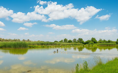 Venice Photobirding, Nature And Culture: Himmel, Blau, Wasser, Wasservorräte, Natur, Natürlichen Umgebung, Grün, Natürliche Landschaft, Wolke, Sumpf