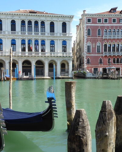 Venice Photobirding, Nature And Culture: Boot, Gewässer, Boote Und Boating - Geräte Und Materialien, Watercraft, Gebäude, Wasserweg, Kanal, Kanal, Wasserlauf
