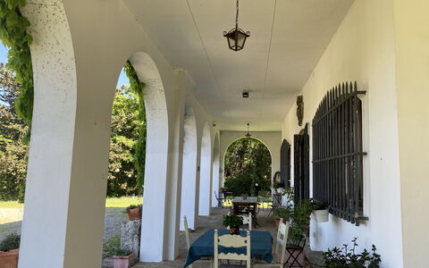 Villa Albertina: Bogen, Säule, Tür, Hazienda, Schatten, \Arkade, Veranda, Estate, Zimmerpflanze, Garten
