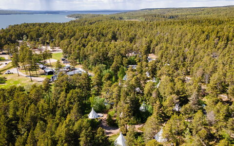 Lagunen Villa 3: Baum, Natürlichen Umgebung, Landschaft, Grundstueck, Wald, Naturschutzgebiet, Wald, Landscaping, Hain