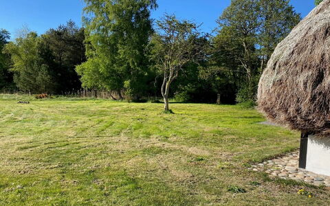 Annabeth - 900M from the Sea: Gras, Baum, Wiese, Einfach, Grundstueck, Ländliches Gebiet, Dachdecken, Rasen, Weide