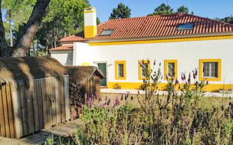 Apartamento 2 Quartos- Ua 94: Gelb, Zuhause, Hütte, Bauernhaus, Estate, Garten, Landscaping, Hazienda, Rasen, Garten