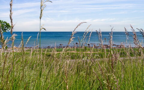 Ayo - 75M from the Sea: Wohnung, Eigentumswohnung, Estate, Balkon, Villa, Hotel