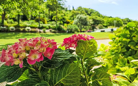 Douce Campagne: Garten, Gartenmöbel, Resort, Schatten, Freizeit, Rasen, Eco Hotel, Landscaping, Zelt, Park