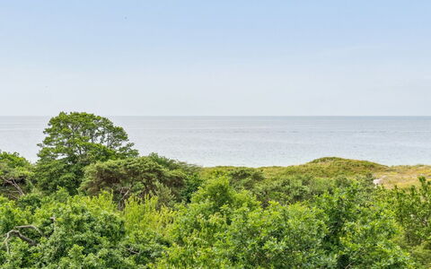 Mariam - 100M from the Sea: Himmel, Blau, Vegetation, Horizont, Natürliche Landschaft, Ökoregion, Wolke, Sommer, Pflanzengemeinschaft, Strauch