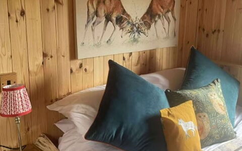 Shepherds Hut: Schwimmbad, Schatten, Resort, Landscaping, Ferienort, Zaun, Hotel, Strandresort