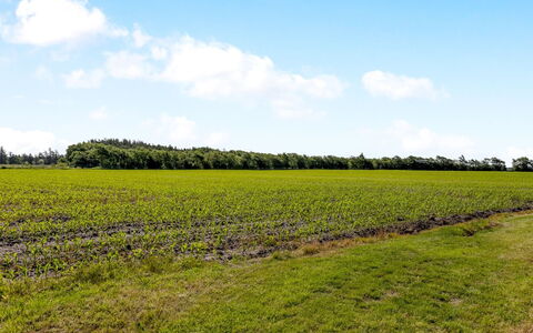 Rahild - 10Km from the Sea: Blau, Strauch, Hütte, Ground, Garten, Estate, Schatten, Landscaping, Bauernhaus, Eco Hotel