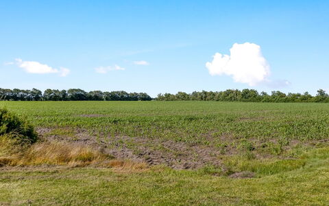 Rahild - 10Km from the Sea: Blau, Strauch, Hütte, Ground, Garten, Estate, Schatten, Landscaping, Bauernhaus, Eco Hotel