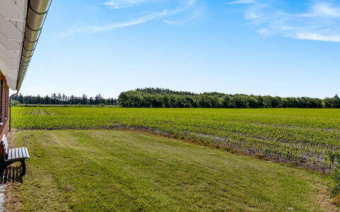 Rahild - 10Km from the Sea: Blau, Strauch, Hütte, Ground, Garten, Estate, Schatten, Landscaping, Bauernhaus, Eco Hotel