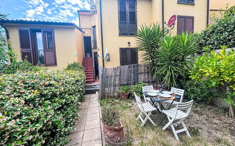 Loma: Strauch, Garten, Garten, Hinterhof, Landscaping, Auffahrt, Hof, Balkon, Zimmerpflanze, Hazienda