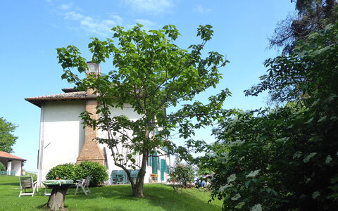 Casa Ballo delle Streghe, Garden, Montebelluna: Rasen, Garten, Schatten, Garten, Hinterhof, Landscaping, Bauernhaus