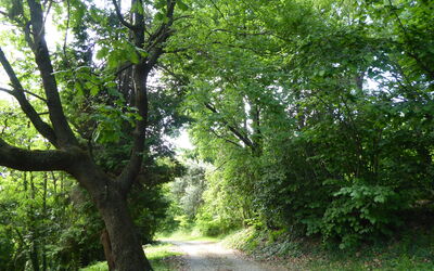 Villa Asolo Hills
