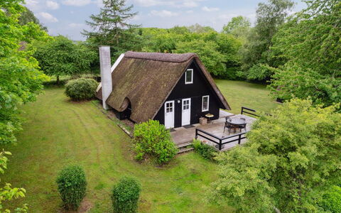 Svenne - 1.4Km from the Sea: Hütte, Haus, Zuhause, Estate, Bauernhaus, Garten, Rasen, Landscaping, Design, Hinterhof