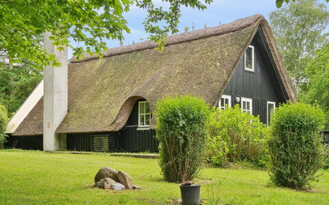 Svenne - 1.4Km from the Sea: Gras, Hütte, Dach, Haus, Strauch, Grundstueck, Zuhause, Dachdecken, Ländliches Gebiet