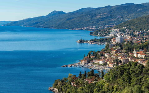 Opatija 158: Holz, Interior Design, Flooring, Möbel, Fussboden, Tabelle, Küche & Esszimmer Tisch, Stuhl, Holzboden, Zimmer