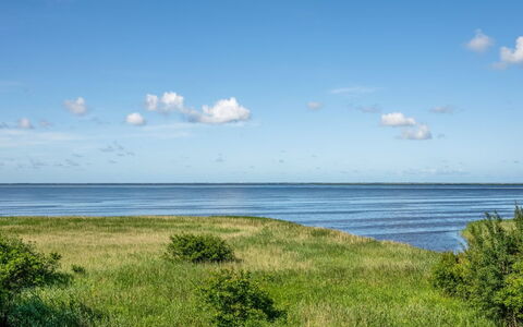 Gadde - 100M to the Fjord: Himmel, Blau, Wolke, Horizont, Wasser, Daytime, Gewässer, Wasservorräte, Grün, Gras