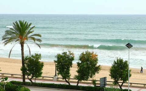 Torre Yato: Strand, Baum, Ufer, Meer, Palme, Ozean, Vegetation, Küste, Natürlichen Umgebung, Urlaub