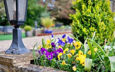 Kilburn Hall Apt: Schatten, Gebirge, Outdoor Struktur, Eco Hotel, Deck, Gartenmöbel, Garten, Stuhl, Landscaping, Hartholz