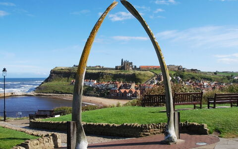 Whitby 602: Schatten, Gebirge, Outdoor Struktur, Eco Hotel, Deck, Gartenmöbel, Garten, Stuhl, Landscaping, Hartholz