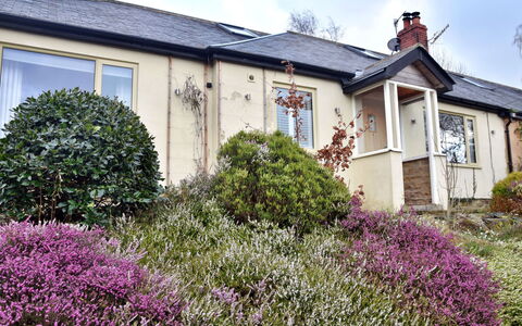 Heather Lea: Schatten, Gebirge, Outdoor Struktur, Eco Hotel, Deck, Gartenmöbel, Garten, Stuhl, Landscaping, Hartholz