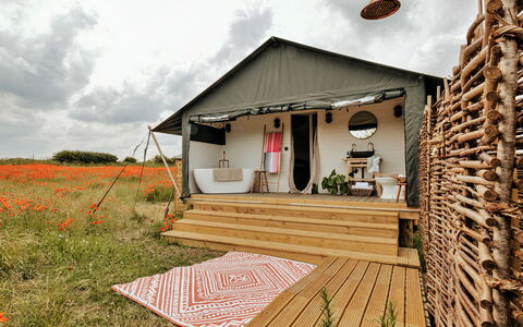 Foxley Lodge: Deck, Schatten, Hartholz, Gartenmöbel, Balkon, Planke, Eco Hotel, Schwimmbad, Holzboden, Resort