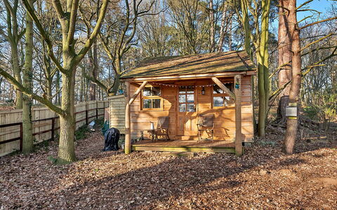 Cedar Lodge: Deck, Schatten, Hartholz, Gartenmöbel, Balkon, Planke, Eco Hotel, Schwimmbad, Holzboden, Resort