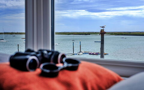 Kings Wharf: Deck, Schatten, Hartholz, Gartenmöbel, Balkon, Planke, Eco Hotel, Schwimmbad, Holzboden, Resort