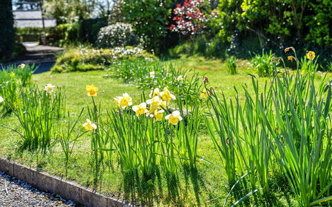 Sunny Nook: Wohnung, Gebirge, Senke, Alpen, Hotel, Bergdorf