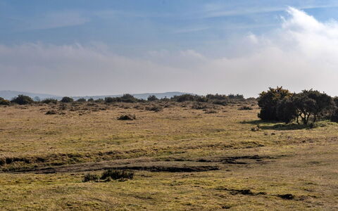 Jubilee Cottage at Bodmin Moor: Wohnung, Gebirge, Senke, Alpen, Hotel, Bergdorf