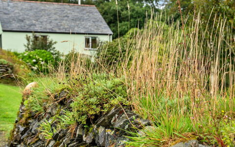 Skylarks: Wohnung, Gebirge, Senke, Alpen, Hotel, Bergdorf