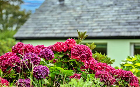 Skylarks: Wohnung, Gebirge, Senke, Alpen, Hotel, Bergdorf