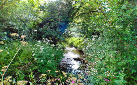 Porthcothan Mill Cottage: Wohnung, Gebirge, Senke, Alpen, Hotel, Bergdorf