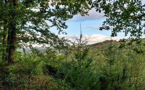 Forest Park Lodge: Wohnung, Gebirge, Senke, Alpen, Hotel, Bergdorf