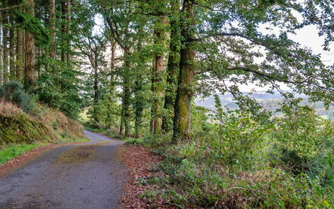 Forest Park Lodge: Wohnung, Gebirge, Senke, Alpen, Hotel, Bergdorf