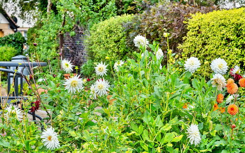 Clematis Cottage: Wohnung, Balkon, Schatten, Yachthafen, Hotel, Dock
