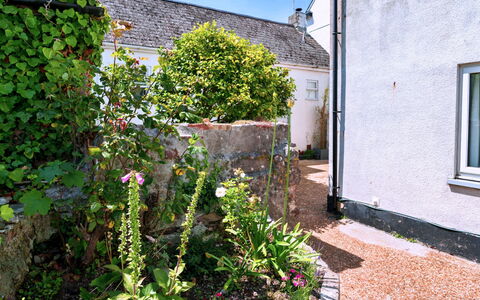Roselric: Strauch, Hütte, Garten, Garten, Landscaping, Hinterhof, Blumentopf, Zimmerpflanze, Walkway