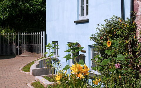 Littleholme: Blume, Gelb, Strauch, Garten, Garten, Landscaping, Hinterhof, Zaun, Home Fechten