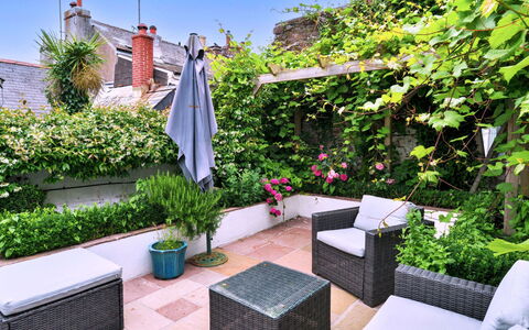 Sunnyside: Strauch, Blumentopf, Garten, Ground, Zimmerpflanze, Gartenmöbel, Garten, Hof, Landscaping