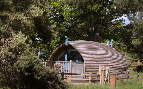 The Wonney'S Glamping: Wohnung, Balkon, Schatten, Yachthafen, Hotel, Dock