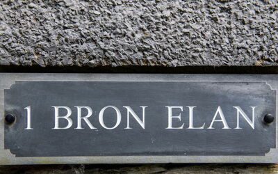 Bron Elan