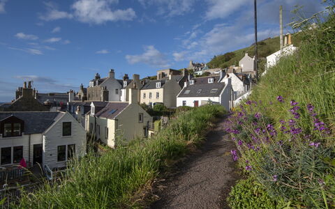 Ellie-Jo Cottage: Wohnung, Balkon, Schatten, Yachthafen, Hotel, Dock