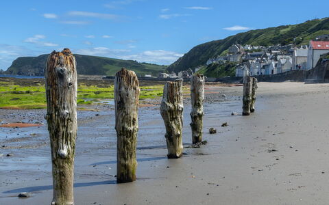 Ellie-Jo Cottage: Wohnung, Balkon, Schatten, Yachthafen, Hotel, Dock
