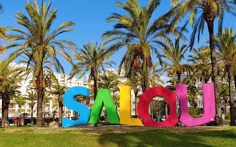Cancun: Himmel, Pflanze, Daytime, Eigentum, Natur, Azurblau, Blatt, Baum, Terrestrische Plant, Arecales