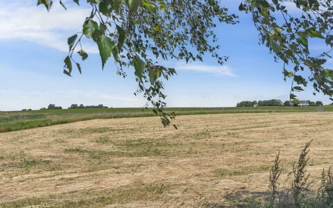 Lacey - 4Km from the Sea: Estate, Schatten, Auffahrt, Bauernhaus