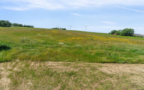 Lacey - 4Km from the Sea: 