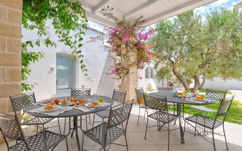 Masseria Lamagrotte By Raro Rooms: Möbel, Stuhl, Tabelle, Gartenmöbel, Küche & Esszimmer Tisch, Tisch Im Freien, Blumentopf, Terrasse, Restaurant, Garten